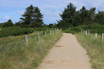 der Weg an die Küste