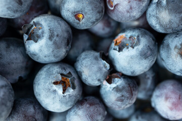 Macro ripe blueberry with selective focus texture, top view. Minimalist food background. Tasty colorful fresh berry pattern