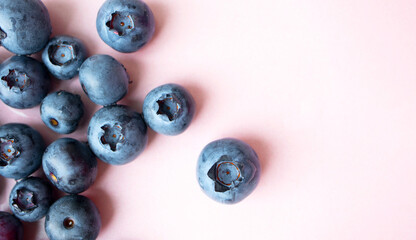 Fresh blueberry on pink plate background with copy space. Bright minimalist food. Tasty colorful fresh berries