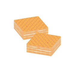 wafer
