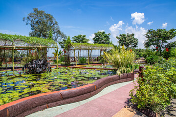Lotus Pond, Lianhuashan Park, Panyu, Guangzhou, China
