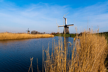 Typical Dutch Windmills Country Side in Bright and Vivid Color with Blue Sky Background Wallpaper and River