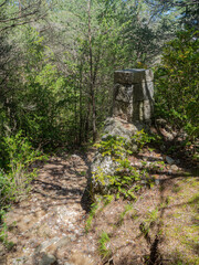 Chemin provençal 