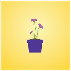 potted plant with flowers