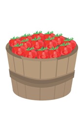 tomatoes in wooden bucket