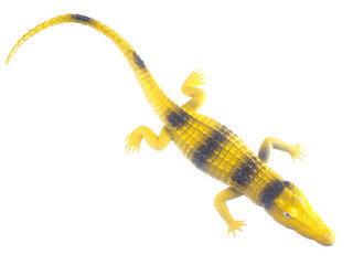 toy crocodile on a white background