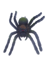 toy spider on a white background