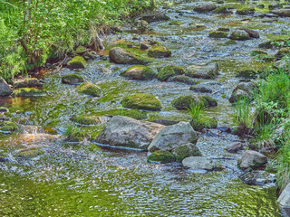 stones in the river. summer