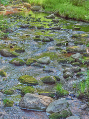 stones in the river. summer