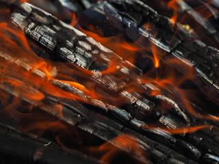 firewood burns in a fireplace