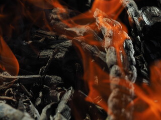 firewood burns in a fireplace