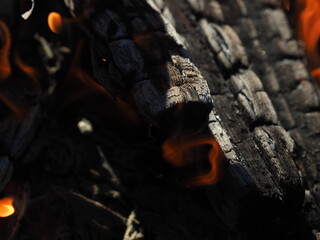 firewood burns in a fireplace