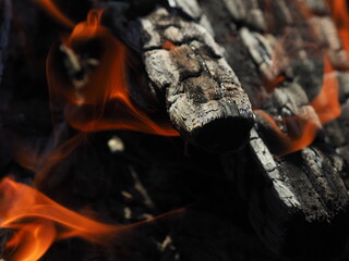 firewood burns in a fireplace