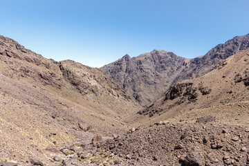 landscape in the atlas in morocco