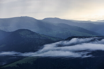Landscape with high mountains. Foggy forest of the pine trees. Majestic summer day. The early morning mist. A place to relax in the Carpathian Park. Natural landscape. Free space for text.