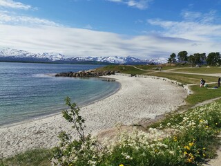 Tromsø Telegrafbukta Northern Norway Summer