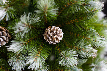 Natural fir cone on a green Christmas tree. Festive background wallpaper backdrop New Year and Christmas, artificial green spruce pine tree with fluffy needles for design