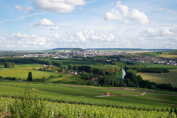 Fototapeta na wymiar Charmante vue d'un joli paysage de Champagne en France