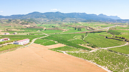 aerial view of la rioja vineyards, spain