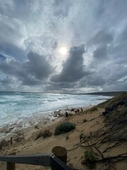 the beaches of Mandurah and Busselton in Western Australia