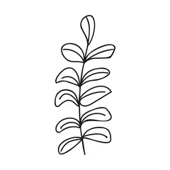 Cute hand drawn forest leaf, branch. Traditional leaves in ink, doodle style for wedding decoration and arrangements.