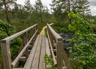 a wooden construction walking bridge in the middle of the swamp. View of the beautiful nature in the swamp - a pond, conifers, moss, clouds and reflections in the water. Nigula Nature Reserve