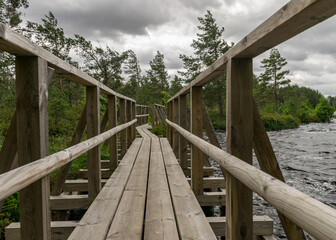 a wooden construction walking bridge in the middle of the swamp. View of the beautiful nature in the swamp - a pond, conifers, moss, clouds and reflections in the water. Nigula Nature Reserve