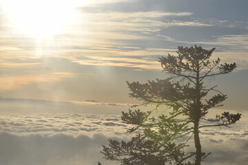 Naklejka premium kalinchowk nepal landscape visitnepal2020 