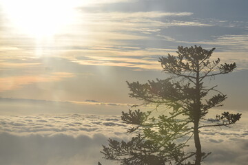 kalinchowk nepal landscape visitnepal2020
