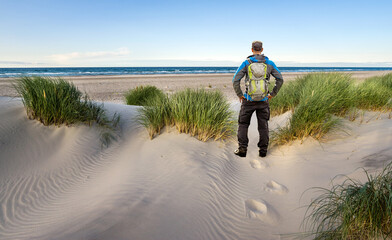 Man with Backpack hiking in beautiful windy coastal dune marram grass towards beach of North Sea in...
