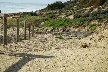 the beaches of Mandurah and Busselton in Western Australia