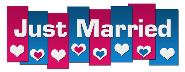 Just Married Blue Pink Lines Hearts Horizontal 