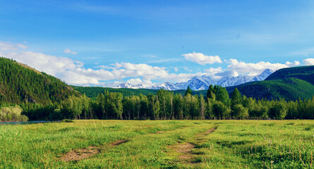 mountain landscape in the summer