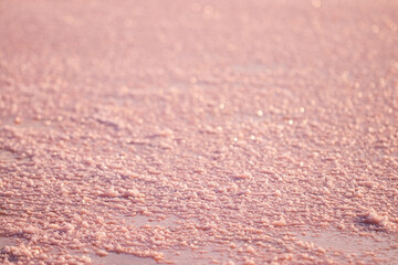 Background texture sea pink salt. Salt crystals close up. Pink salt lake