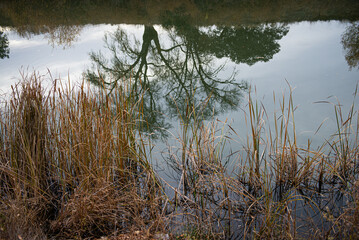 Autumn the sad colors are coming