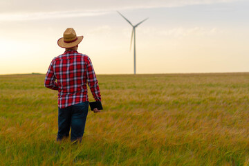 Farmer standing in wheat field, holding tablet and inspecting growth in crops. Nature Yellow field with grain.  Wind mill in background