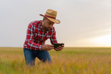 Young Farmer holding tablet and taking pictures, inspecting growth in crops. Nature Yellow field with grain. 