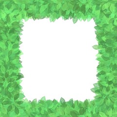 This picture is a green leaf frame.