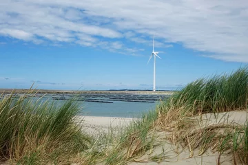 Zelfklevend Fotobehang Netherlands. Zeeland. The Noordzee coast and windmill © YvonneNederland
