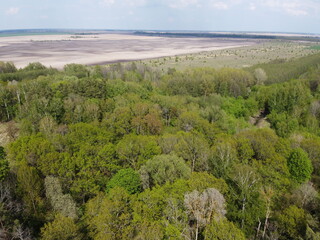 Fototapeta na wymiar European forest, aerial view. Forest landscape in spring.