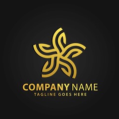 3D Gold Star Leaf Abstract Company Modern Logos Design Vector Illustration Template