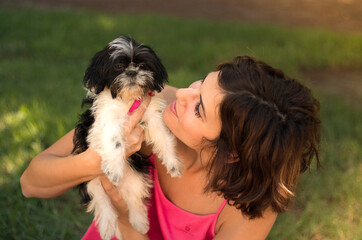 Cute puppy shih tzu sitting down outdoors