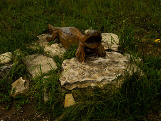 Ornaments in the botanical garden in Radzionków. Free space for entry ready.
