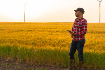Naklejka na ściany i meble Portrait of Male farmer standing in wheat field with tablet inspecting crops. Sunset in backgorund