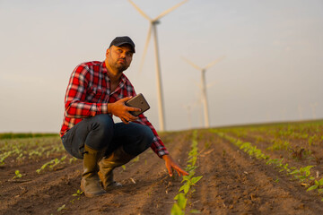 Portrait of male farmer hand examining soybean plant field. Holding tablet in hand.