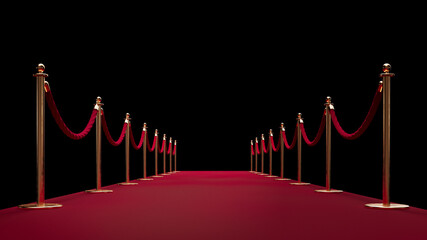 Red carpet enterance. Private event. Film festival. Celebrities