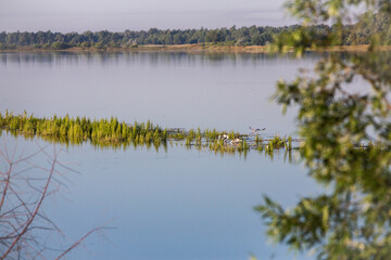 Trees in a lake with roots under water and branches out in Moldova. Trees in swamps and muds of Central Europe. Reflection of trees in water. Inundated field and park. Flooding on the river