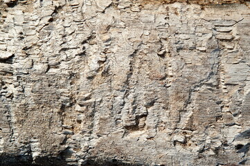 Old board