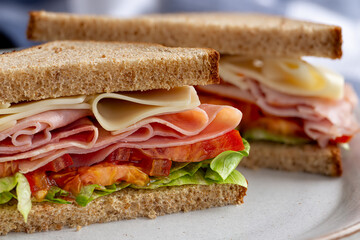 Ham and Cheese Sandwich on Whole Grain Bread