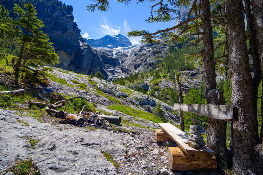 bench unter tree in mountain area blue sky Bank unter B&auml;umen in den Bergen Panorma blauer Himmel, Gletscher, gr&uuml;n